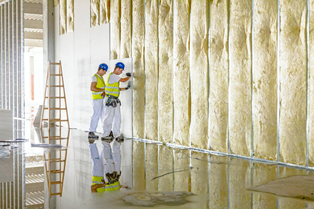 Best Insulation for New Construction  in Eudora, AR